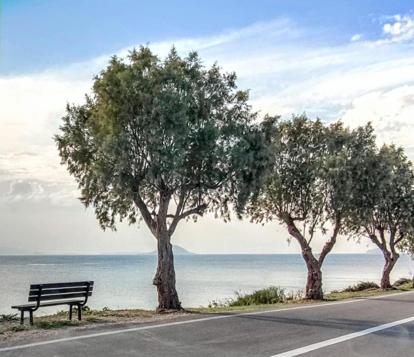 Gemela Allstarboutique In Aegina A Екстер'єр фото